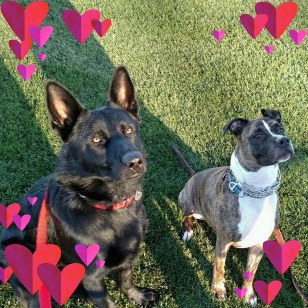 Meet your Posher, Vickie